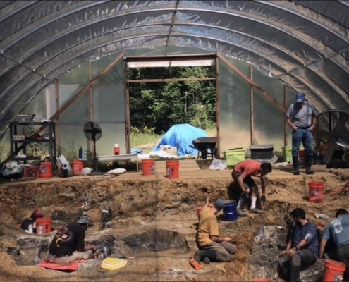 Missouri-Ozark Dinosaur Project - Excavation with Field Museum crew under roof in greenhouse (2018)