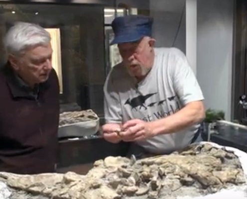 Missouri-Ozark Dinosaur Project - Guy Darrough in Prep Lab at the Ste. Genevieve Museum Learning Center