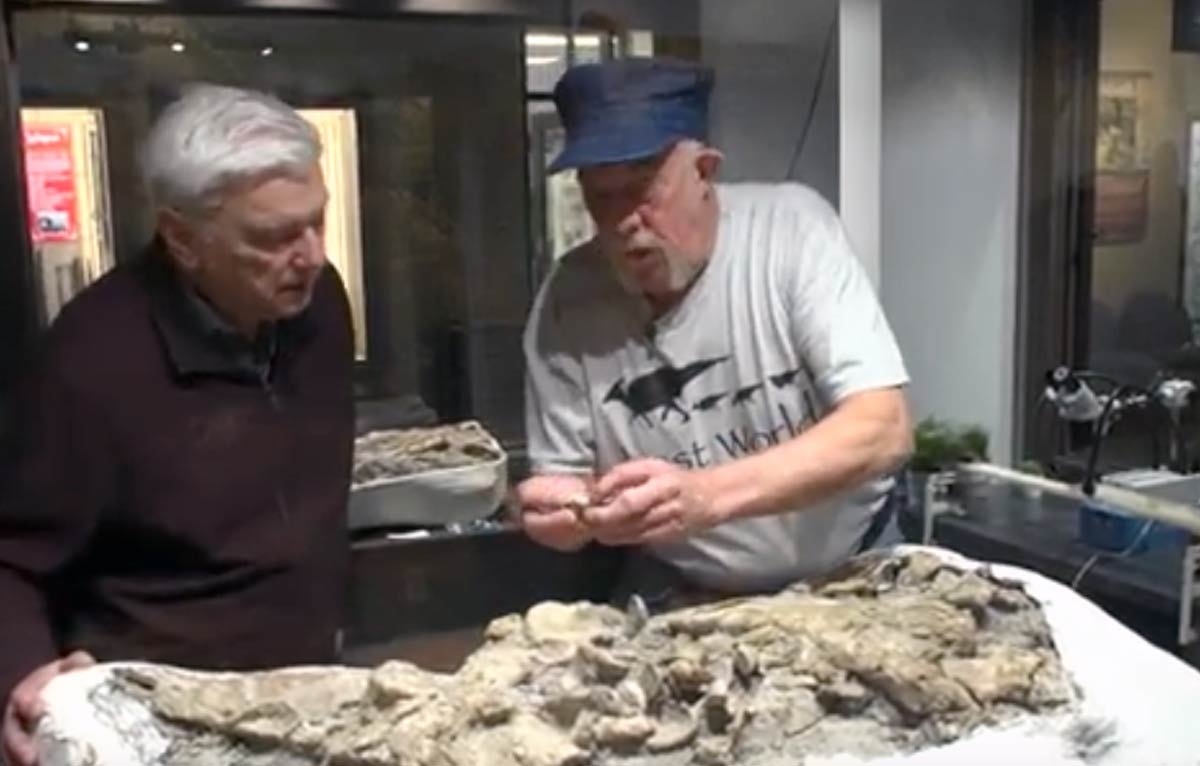 Missouri-Ozark Dinosaur Project - Guy Darrough in Prep Lab at the Ste. Genevieve Museum Learning Center