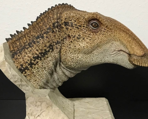 Parrosaurus missouriensis bust sculpture