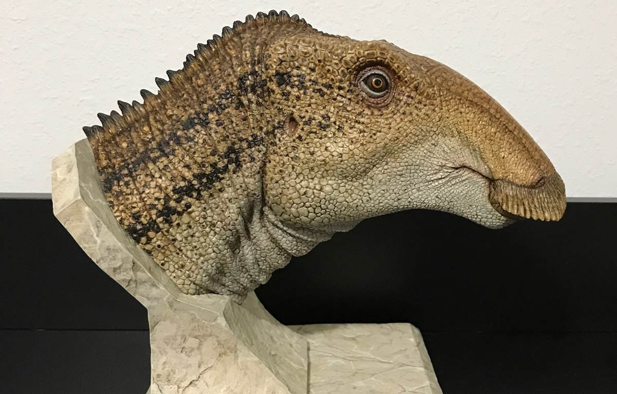 Parrosaurus missouriensis bust sculpture